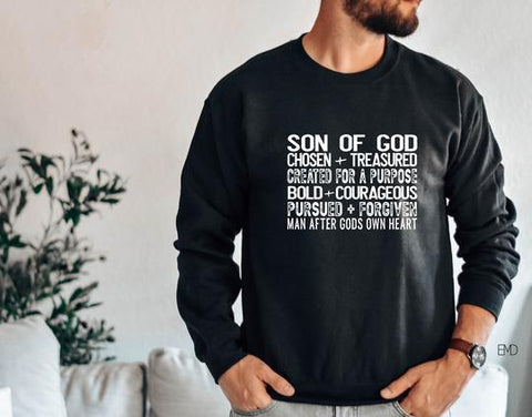 SON OF GOD- DS